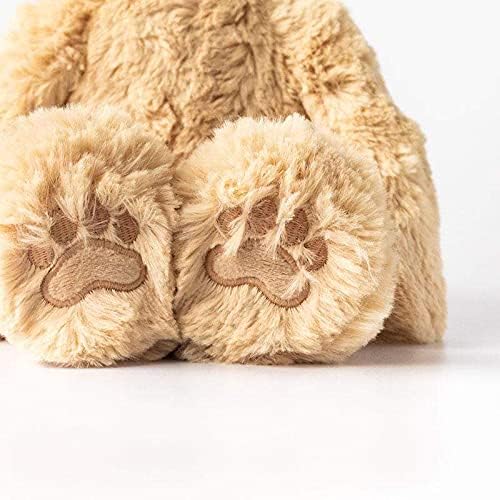 Slumberkins 14" Fox Kin & 2 Board Books Complete Set Bundle | Supports Changes, Coping Skills & Transitions | Social Emotional Development | Soft Plush Animal Gift Set (Fox Kin Plush + 2 Board Books)