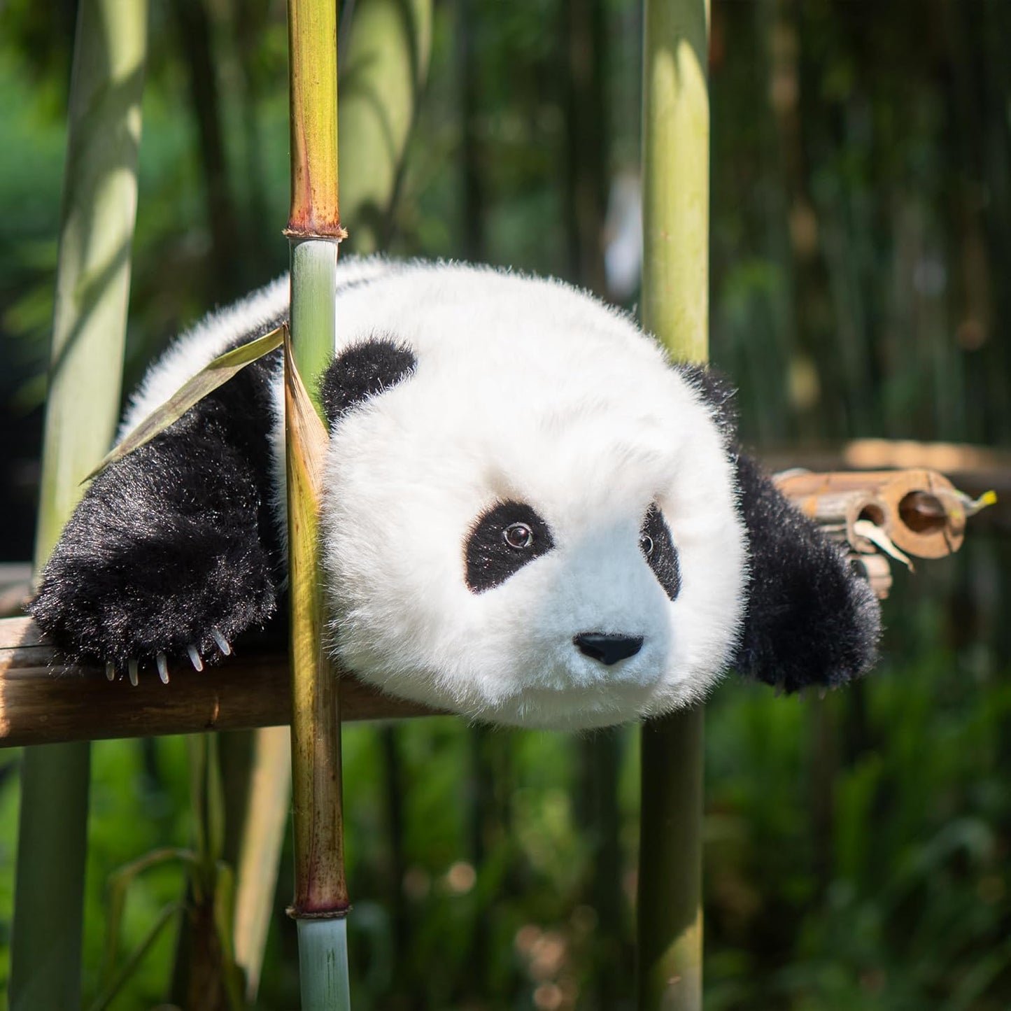 Chongker Weighted Stuffed Animals Panda Collection “MengLan” - Handmade Realistic Giant Panda Plush 4LBS, Lifelike Animals, Large